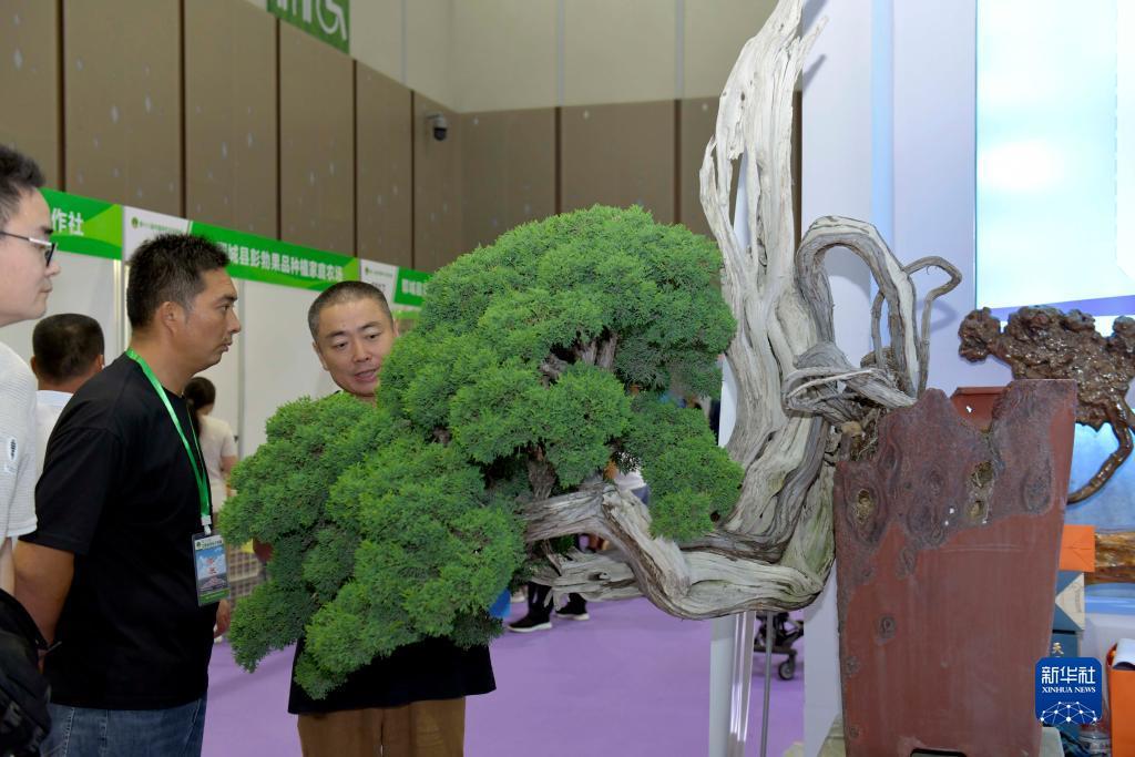 玛丽水果机
